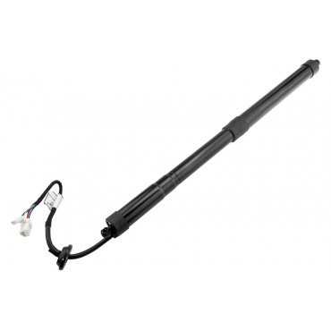 Vérin Hayon De Coffre...