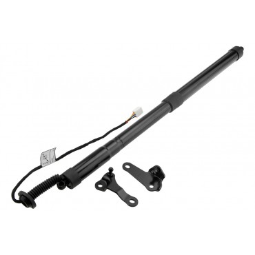 Vérin Hayon De Coffre...