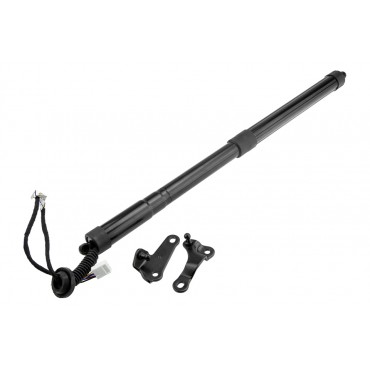 Vérin Hayon De Coffre...