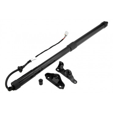 Vérin Hayon De Coffre...