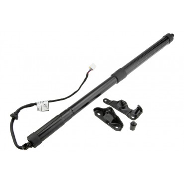 Vérin Hayon De Coffre...