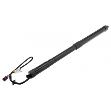 Vérin Hayon De Coffre...