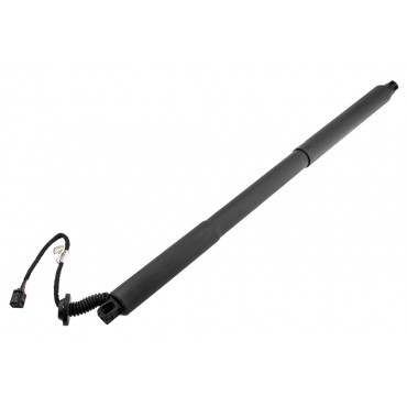 Vérin Hayon De Coffre...