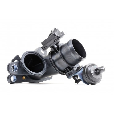 Corps papillon d'admission...