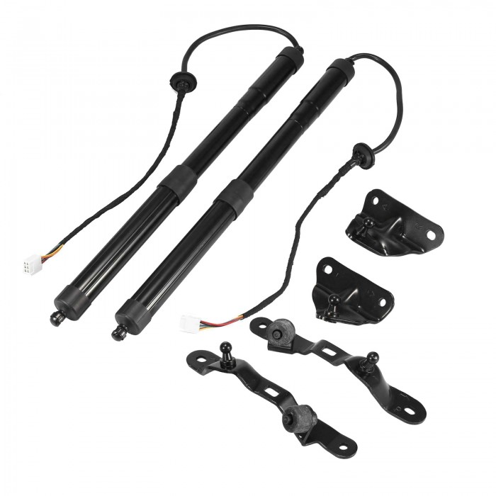 x2 Vérin Hayon de Coffre Gauche+Droit Pour Toyota Rav 4 IV 2012-2018 6891009010