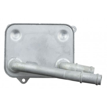 Refroidisseur d'Huile Moteur Pour Audi A8 4.2 Fsi 2006-2010 079117015B