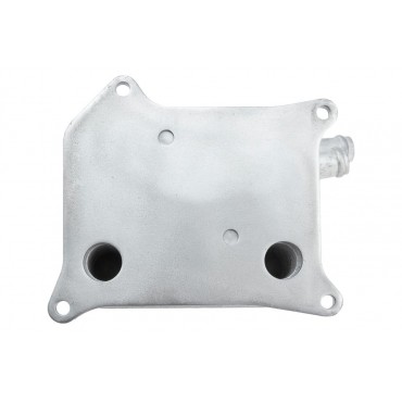 Refroidisseur d'Huile Moteur Pour Audi A8 4.2 Fsi 2006-2010 079117015B