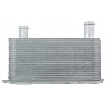 Refroidisseur d'Huile Moteur Pour AUDI R8 4.2 FSI 5.2 FSI 2010-2015 420117022A