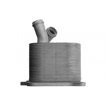 Refroidisseur d'Huile Moteur Pour Audi A6 S6 A8 S8 Quattro 2006-2010 07L117021F