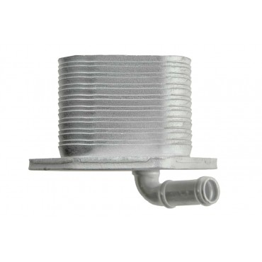 Refroidisseur d'Huile Moteur Pour Vw Jetta New Beetle 2.5 07K117021B 07K117021C