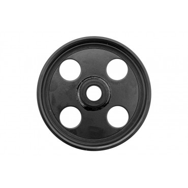 Poulie Pompe de Direction Assistée Pour Citroen Evasion Jumpy 2.0 Hdi 9640830987
