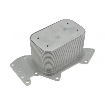 Radiateur Refroidisseur d'Huile Pour Audi A4 A6 A8 Q7 Vw Touareg 059117021F