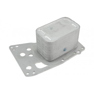 Radiateur Refroidisseur d'Huile Pour Bmw Série 3 4 5 6 7 X3 X4 X5 11428510855