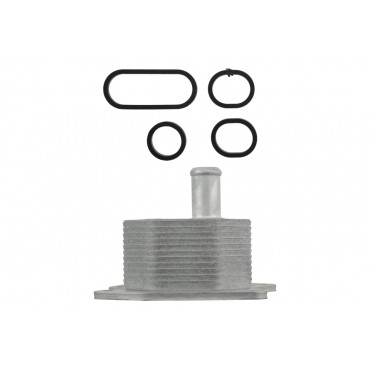 Radiateur Refroidisseur d'Huile Pour Ford Transit Tourneo/V363 1755226