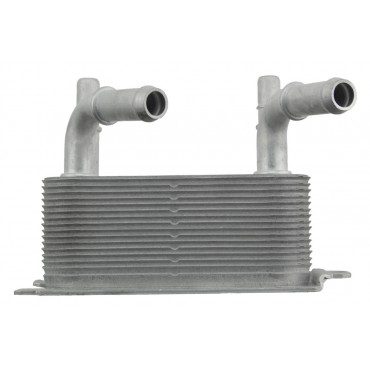 Radiateur Refroidisseur d'Huile Pour Ford Mondeo V S-Max 5197792 DG937A095BB