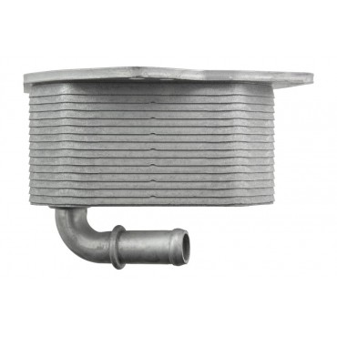 Radiateur Refroidisseur d'Huile Pour Ford Ranger 3.2 2.2 TDCi 1721337 1746665