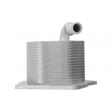 Radiateur Refroidisseur d'Huile Pour Ford Ranger 3.2 2.2 TDCi 1721337 1746665