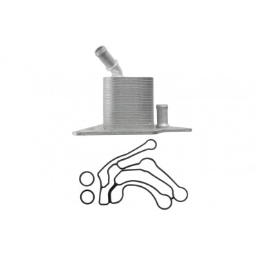 Radiateur Refroidisseur d'Huile Pour Cadillac Bls Fiat Croma Zafira B 5989070231