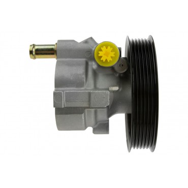 Pompe de Direction Assistée Pour Clio II Kangoo Megane I Scénic I 7700431286