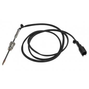 Sonde température gaz Pour Ford Galaxy II Mondeo IV S-Max 1767938 1781166