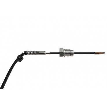 Sonde température gaz Pour Ford Galaxy II Mondeo IV S-Max 1767938 1781166