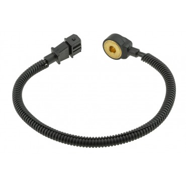 Sonde Capteur de Cognement Pour Santa Fé II Kia Magentis II 2.7 392503E120