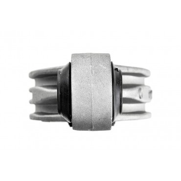 Support Moteur Arrière Pour Renault Grand Scénic II Megane II 2.0 dCi 8200277221