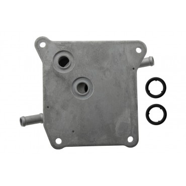 Radiateur Refroidisseur d'Huile de Boite Auto Pour Micra C+C III 21606-3JX0B