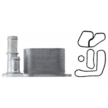 Radiateur Refroidisseur d'Huile Moteur Pour Ssangyong Actyon Korando 6711800265