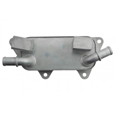Radiateur Refroidisseur d'Huile Moteur Pour Land Rover Freelander 2.5 PBC000010