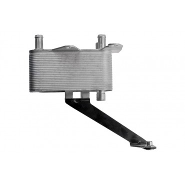Radiateur Refroidisseur d'Huile Moteur Pour Land Rover Freelander 2.0 UBC000060