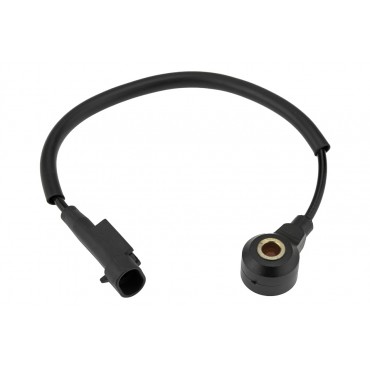 Capteur de Cognement Pour Hyundai I40Ix35 Kia Sportage III Optima Carens 392502