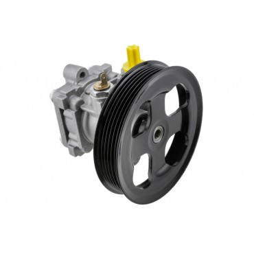 Pompe de Direction Assistée Pour Mitsubishi Outlander I 2002-2006 MN100472