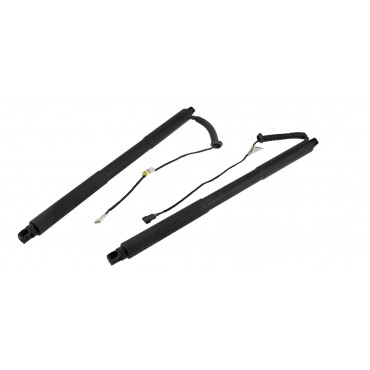 x2 Vérin Hayon de Coffre Gauche+Droit Ressort electrique Pour Bmw 3 51247340976