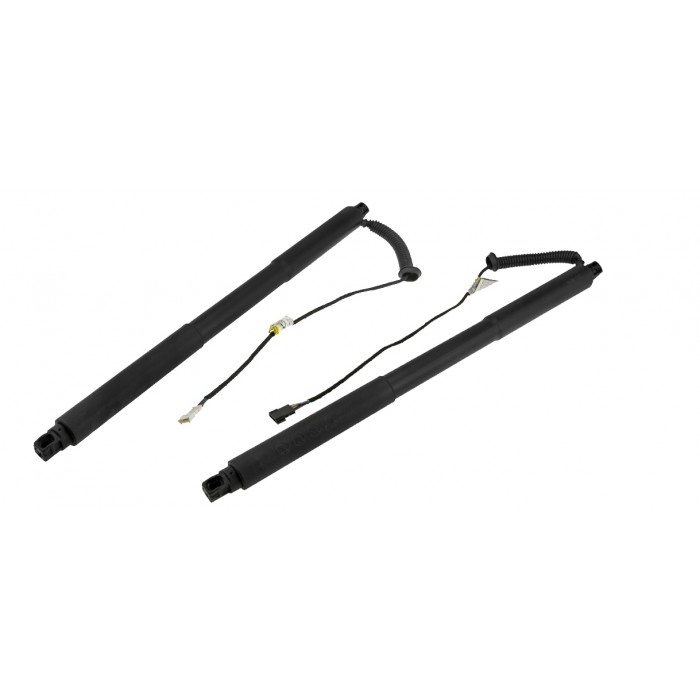 x2 Vérin Hayon de Coffre Gauche+Droit Ressort electrique Pour Bmw 3 51247340976