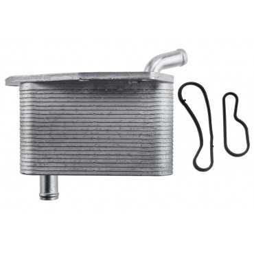 Radiateur d'huile Moteur Pour Land Rover Freelander II Volvo Xc90 5989070283