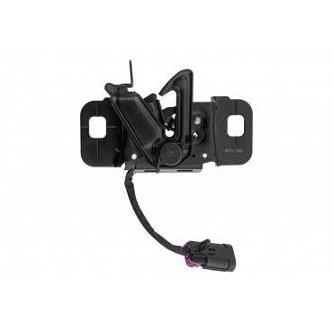 Serrure Deverrouillage Du Capot Pour Chevrolet Captiva 20937956