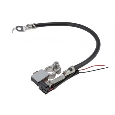 Câble de Batterie Pour Ford C-Max II Focus III Grand C-Max 1797770 AV6N10C679BC