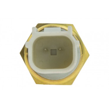 Sonde Temperature d'Eau Pour Honda Accord Civic Cr-V Fr-V Insight 37870RTA005