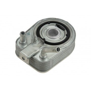 Radiateur d'Huile Pour Hyundai Ioniq Kona Kia Xceed Niro Van 1.6 GDI 2641003HA0