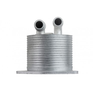 Radiateur d'Huile Boite Auto Pour Citroën C4 Jumpy Opel Grandland X 9824606980