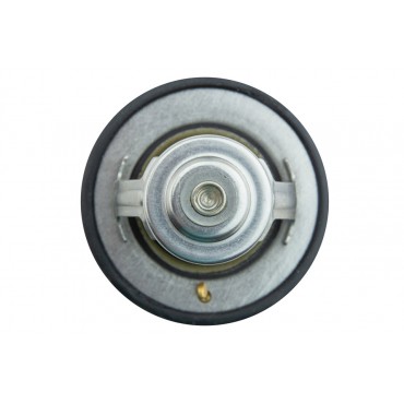 Thermostat d'eau Pour Citroën C-Crosser Lexus Is Gs Mitsubishi Outlander 1338G3