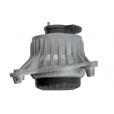 Support Moteur Gauche Pour Mercedes Classe C W205 S205 E 2052400200 2052406217
