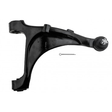 Bras de Suspension Supérieur Arrière Gauche Pour Hyundai Santa Fé I 552300W000