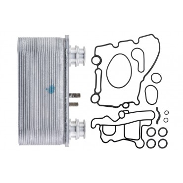 Radiateur Refroidisseur Huile Moteur Pour Ford Usa F-250 6.0 TDi 3C3Z6A642CA
