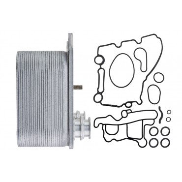 Radiateur Refroidisseur Huile Moteur Pour Ford Usa F-250 6.0 TDi 3C3Z6A642CA
