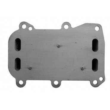 Radiateur Refroidisseur Huile Moteur Pour Mercedes Classe A C E G Gla 1331880001