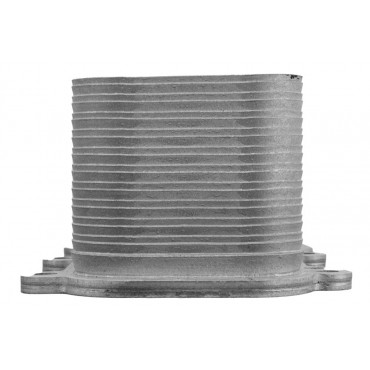 Radiateur Refroidisseur Huile Moteur Pour Mercedes Classe A C E G Gla 1331880001