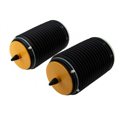 x2 Amortisseur Pneumatique Arrière Gauche+Droit Pour Audi A6 A7 4G0616001AA