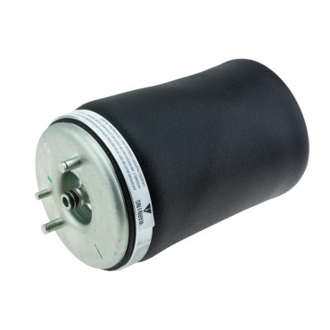Amortisseur Pneumatique Arrière Droit Pour Bmw X5 37121095580 37126750356